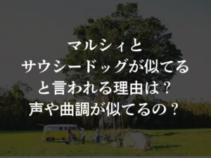 マルシィとサウシードッグが似てると言われる理由は？声や曲調が似てるの？