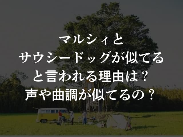 マルシィとサウシードッグが似てると言われる理由は?声や曲調が似てるの?