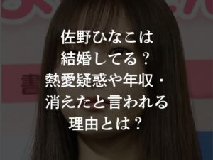 佐野ひなこは結婚してる？熱愛疑惑や年収・消えたと言われる理由とは？